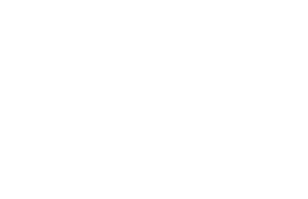 Make in India Lion